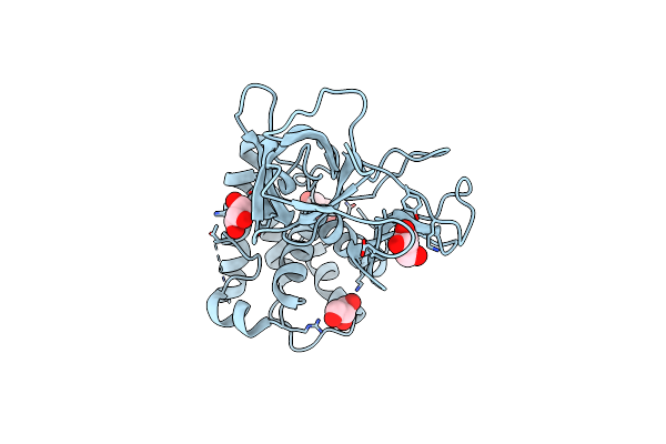 4Q2W image