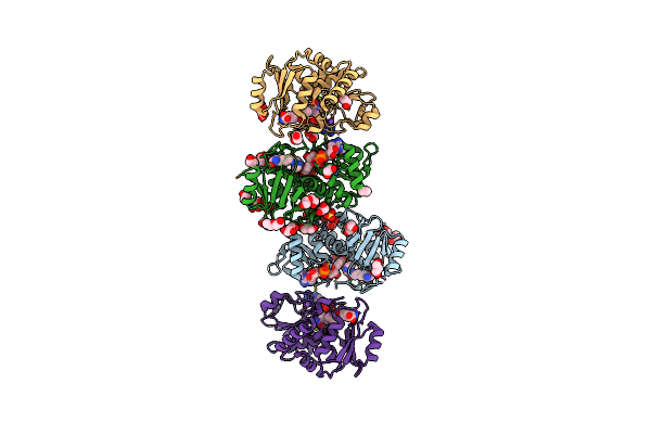 4Q3A image