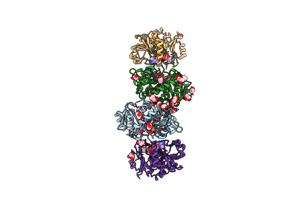 4Q3B image