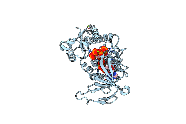 4Q4C image