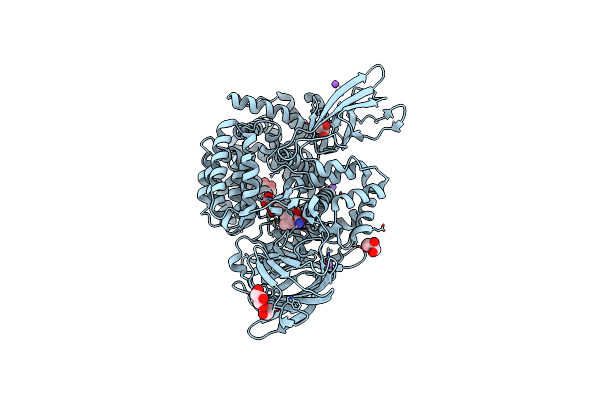 4Q4I image