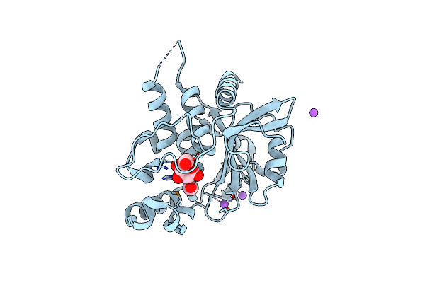 4Q68 image