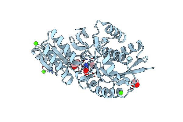 4Q6B image
