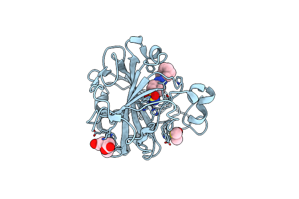 4Q6D image