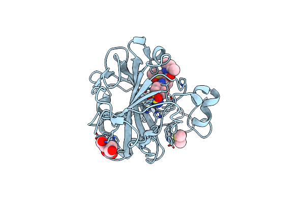 4Q6E image
