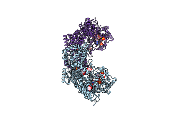 4Q71 image