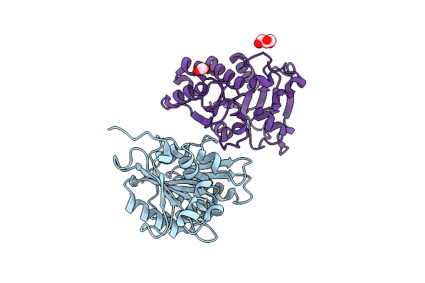 4Q82 image