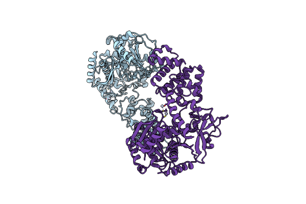 4Q84 image