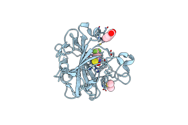 4Q87 image