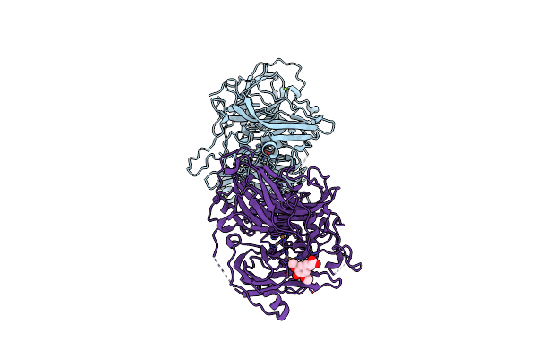 4Q8B image