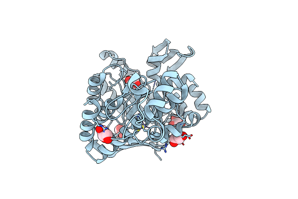 4Q8N image