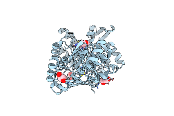 4Q8P image