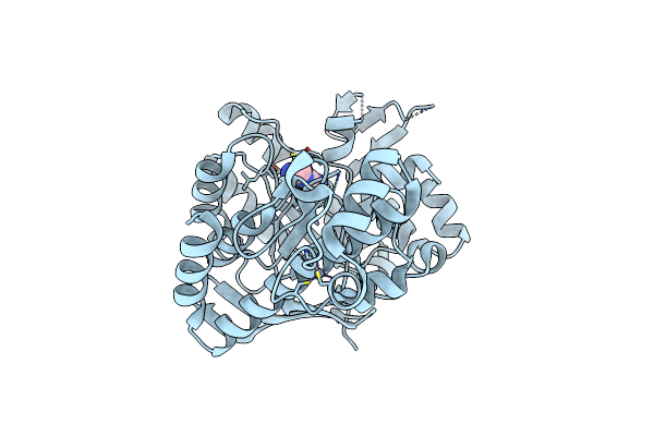 4Q8Q image
