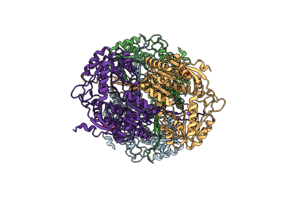 4Q92 image