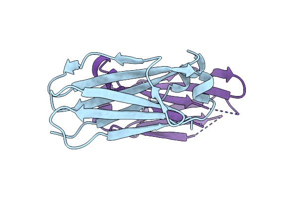 4Q9B image
