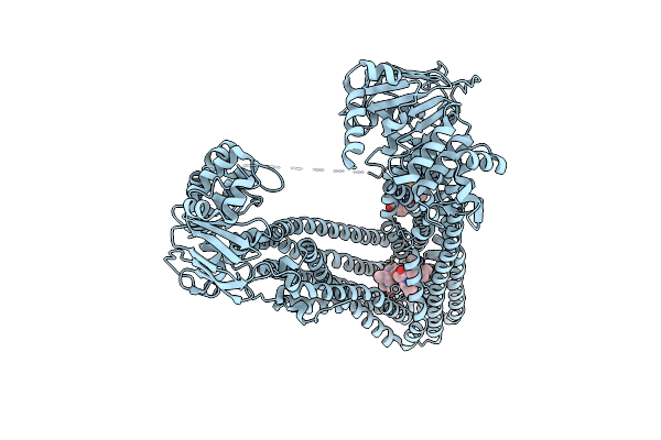 4Q9J image