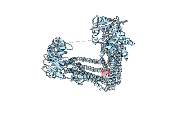 4Q9K image