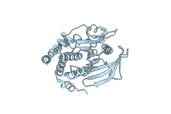 4QBE image