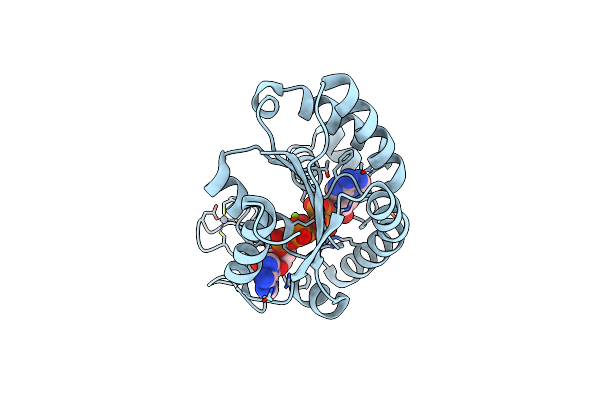 4QBG image