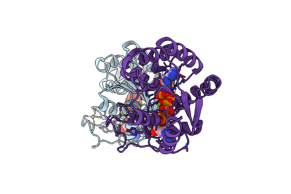 4QBI image