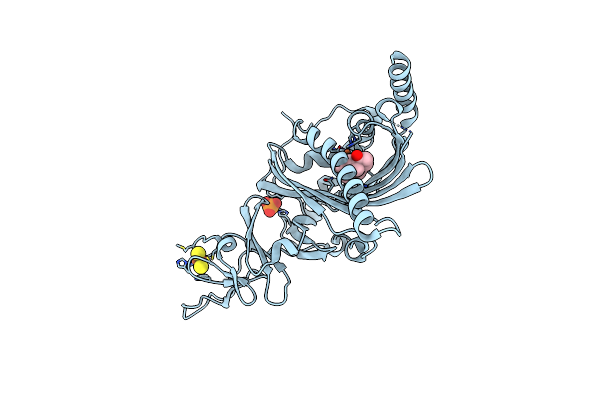 4QCK image