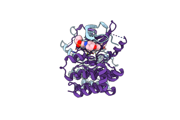 4QD6 image