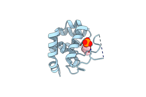 4QDN image