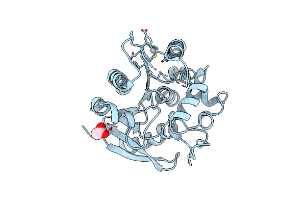 4QDO image