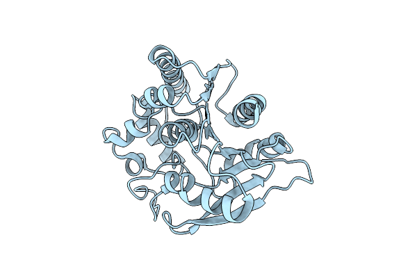 4QDU image