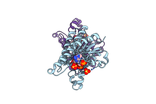 4QEC image