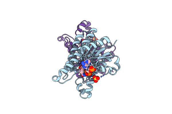 4QED image