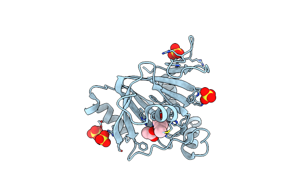 4QGN image