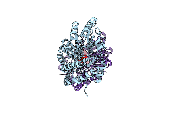 4QGR image