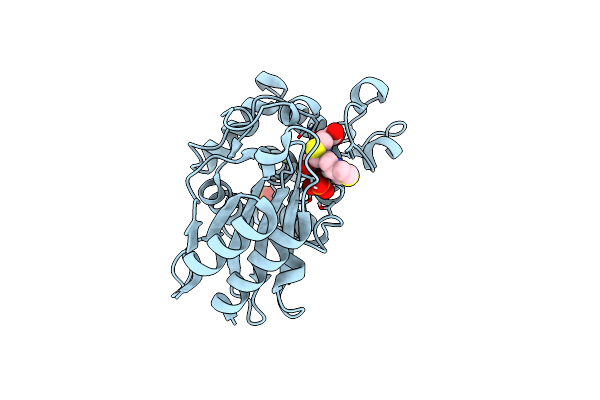 4QHC image