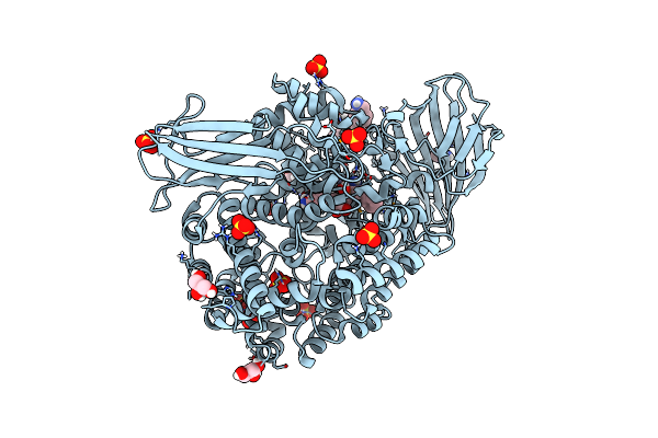 4QHP image