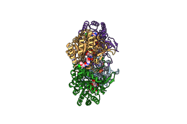 4QJ1 image