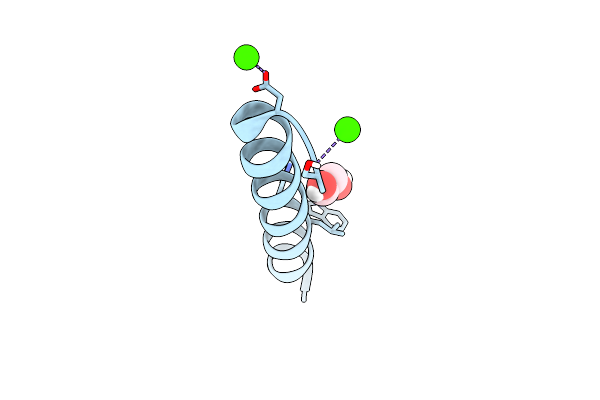 4QKL image