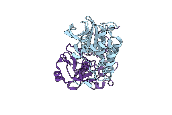 4QLP image
