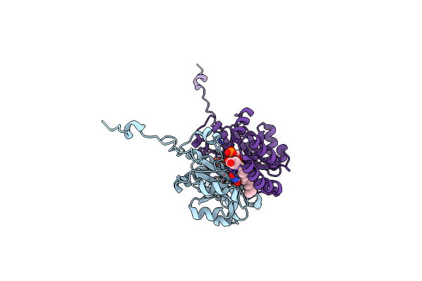 4QLX image