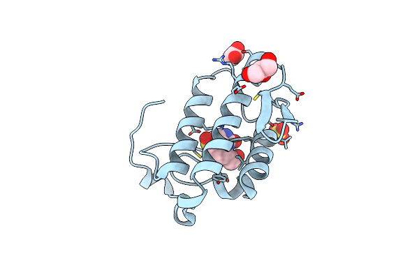4QMC image