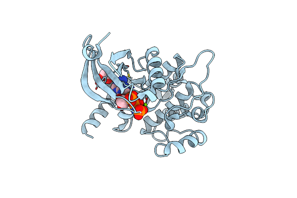 4QML image