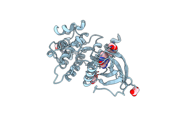 4QMM image