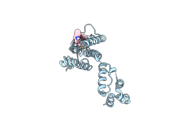 4QNB image