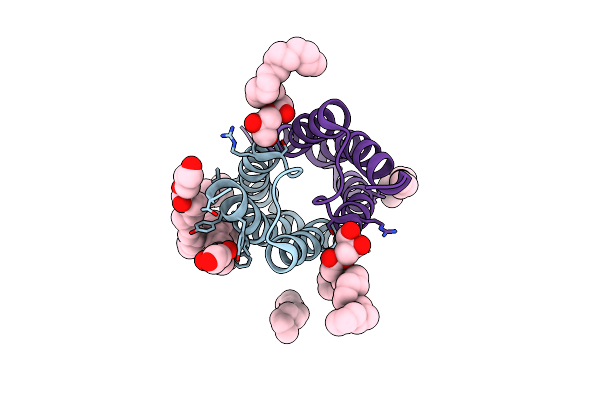 4QNC image
