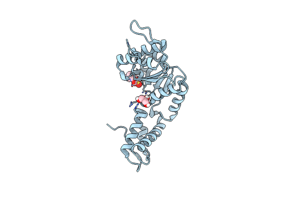4QNM image