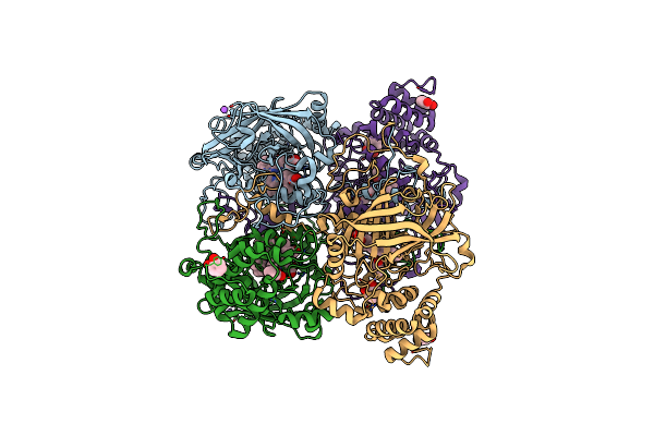 4QON image