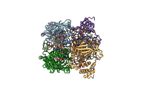 4QOP image