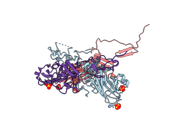 4QPI image