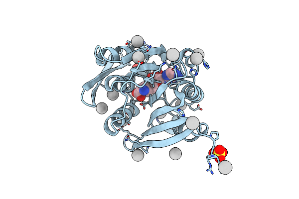 4QPN image