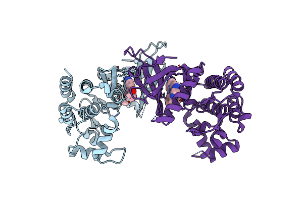 4QPS image